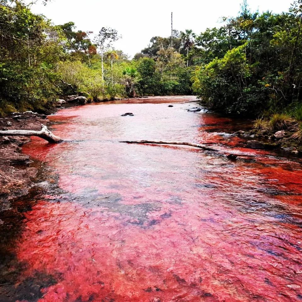 Hotel Ecologico Makalombia La Macarena Exteriér fotografie
