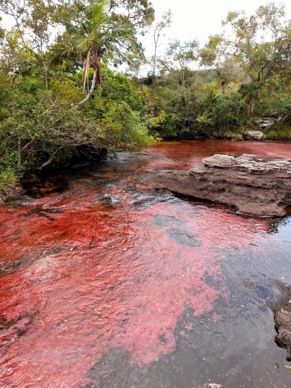 Hotel Ecologico Makalombia La Macarena Exteriér fotografie