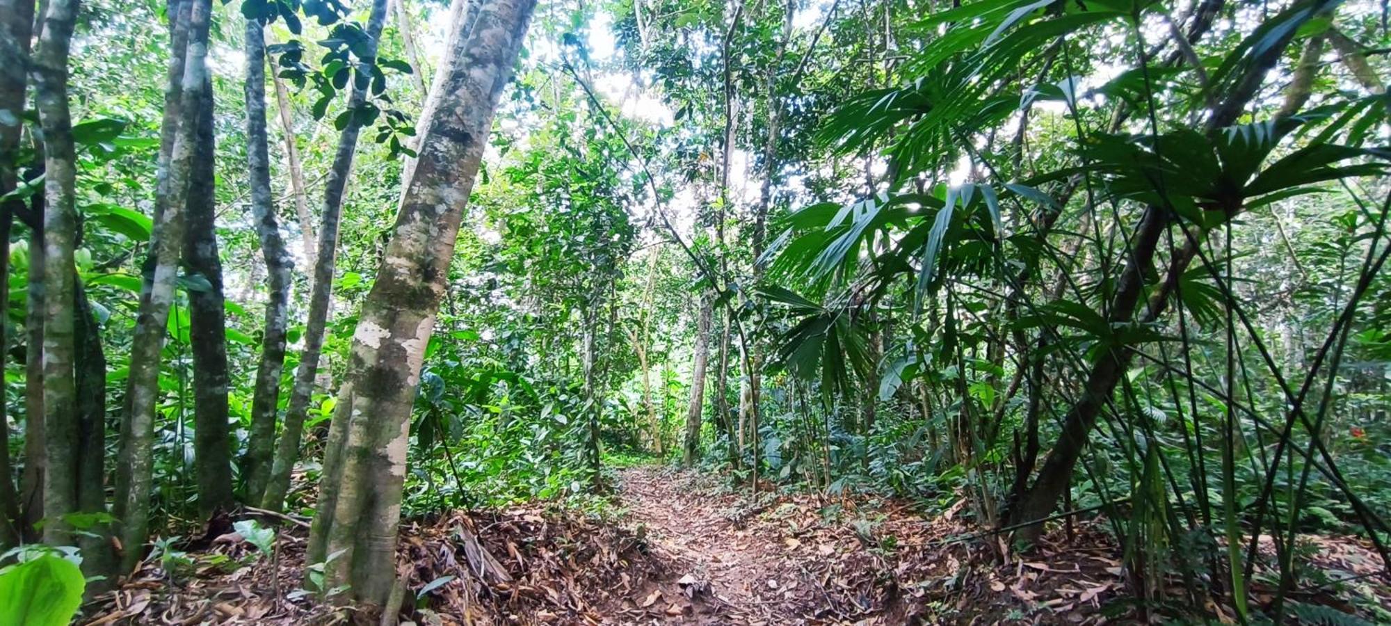 Hotel Ecologico Makalombia La Macarena Exteriér fotografie