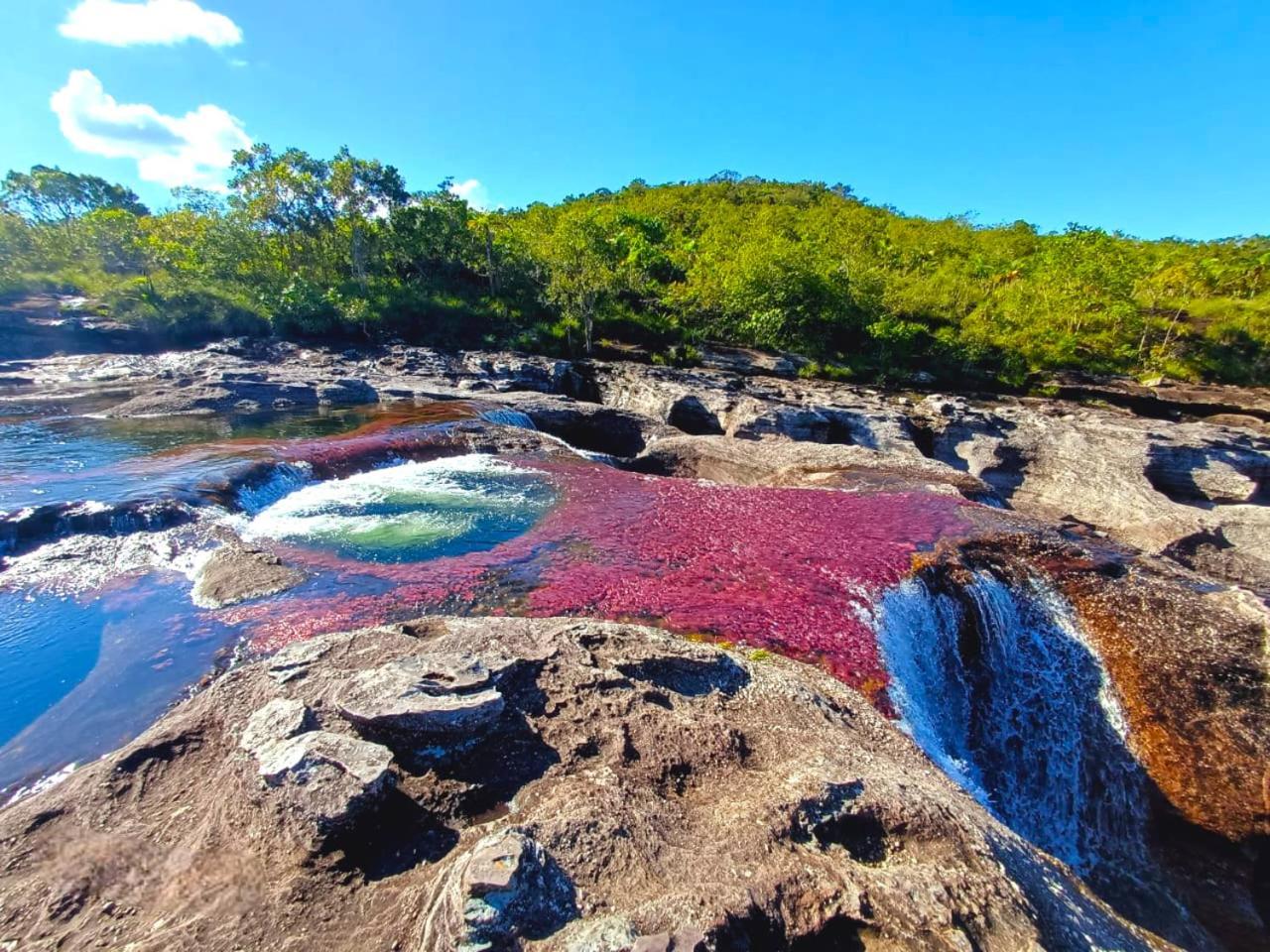 Hotel Ecologico Makalombia La Macarena Exteriér fotografie