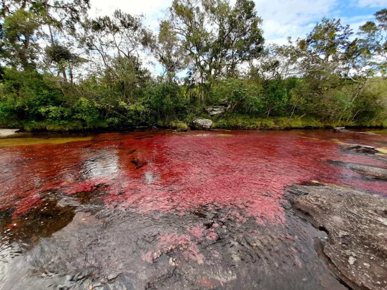 Hotel Ecologico Makalombia La Macarena Exteriér fotografie
