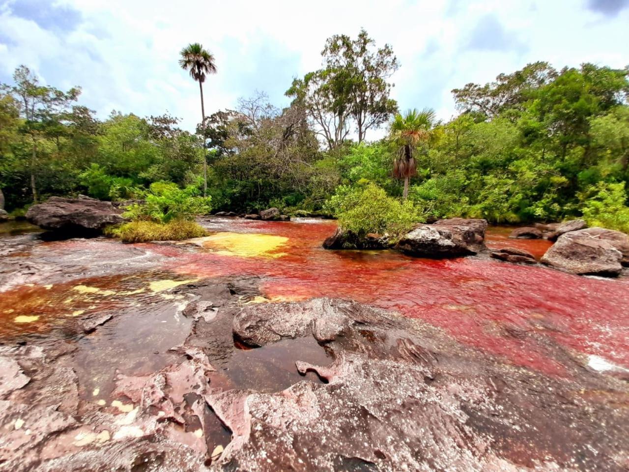 Hotel Ecologico Makalombia La Macarena Exteriér fotografie