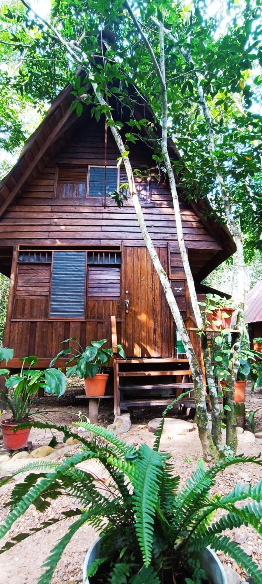 Hotel Ecologico Makalombia La Macarena Exteriér fotografie