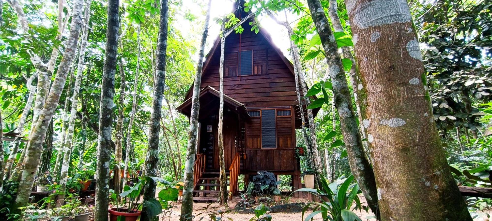Hotel Ecologico Makalombia La Macarena Exteriér fotografie